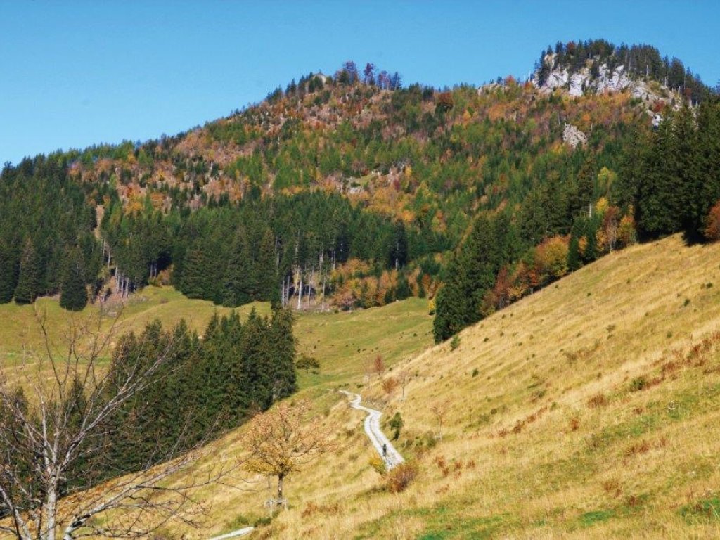 Karren - Staufenspitze