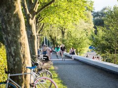 Radfahren am Bodensee 